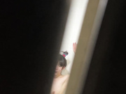 健身后妹子洗澡